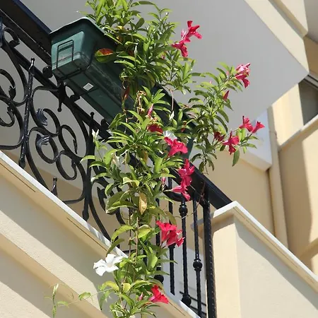 Novella Alanya