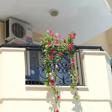 Novella Alanya